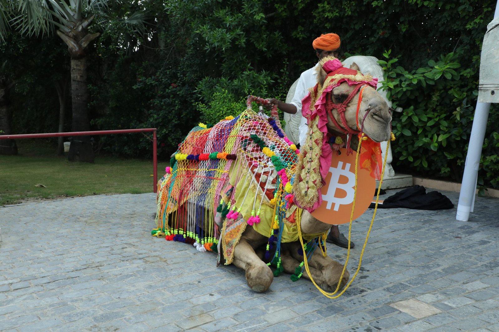 CoinDCx Apex Club Udaipur 2